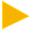 Gold chevron icon