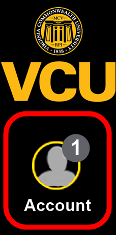 Image of the profile button in Kaltura